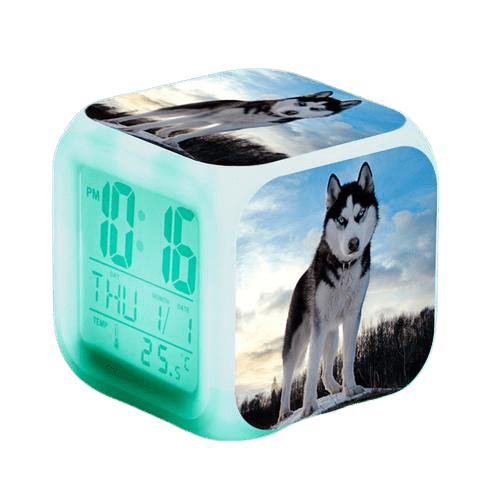 Réveil cube loup blanc-Reveilleur