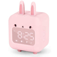 Pink Rabbit