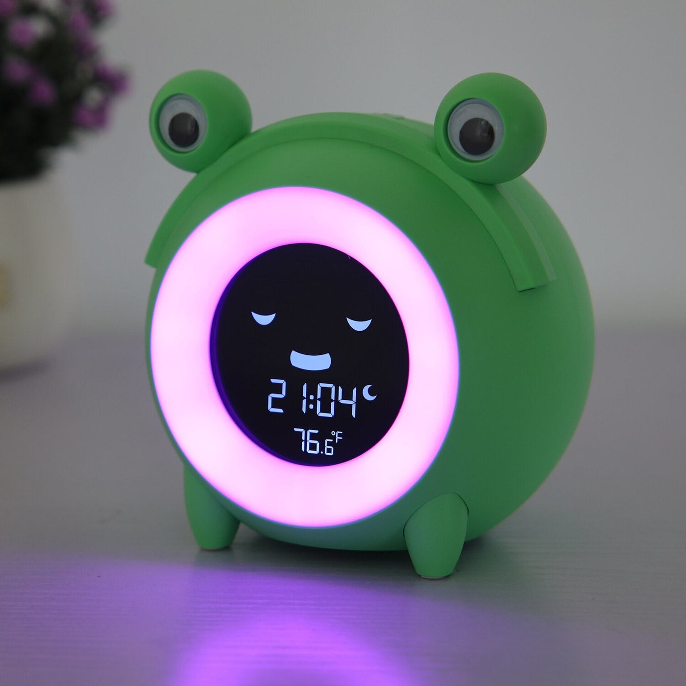 Educational Animal Alarm Clock